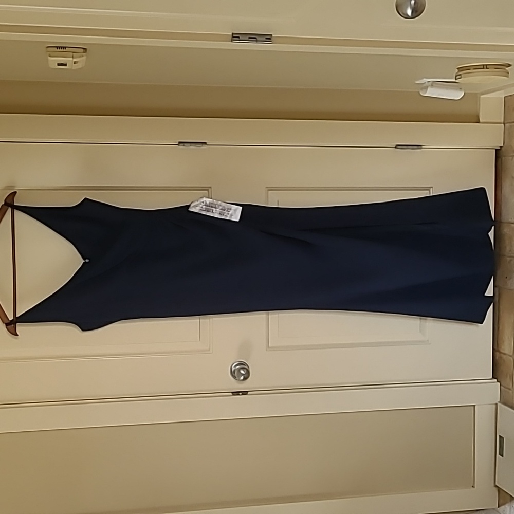 Dress The Population Navy Gown